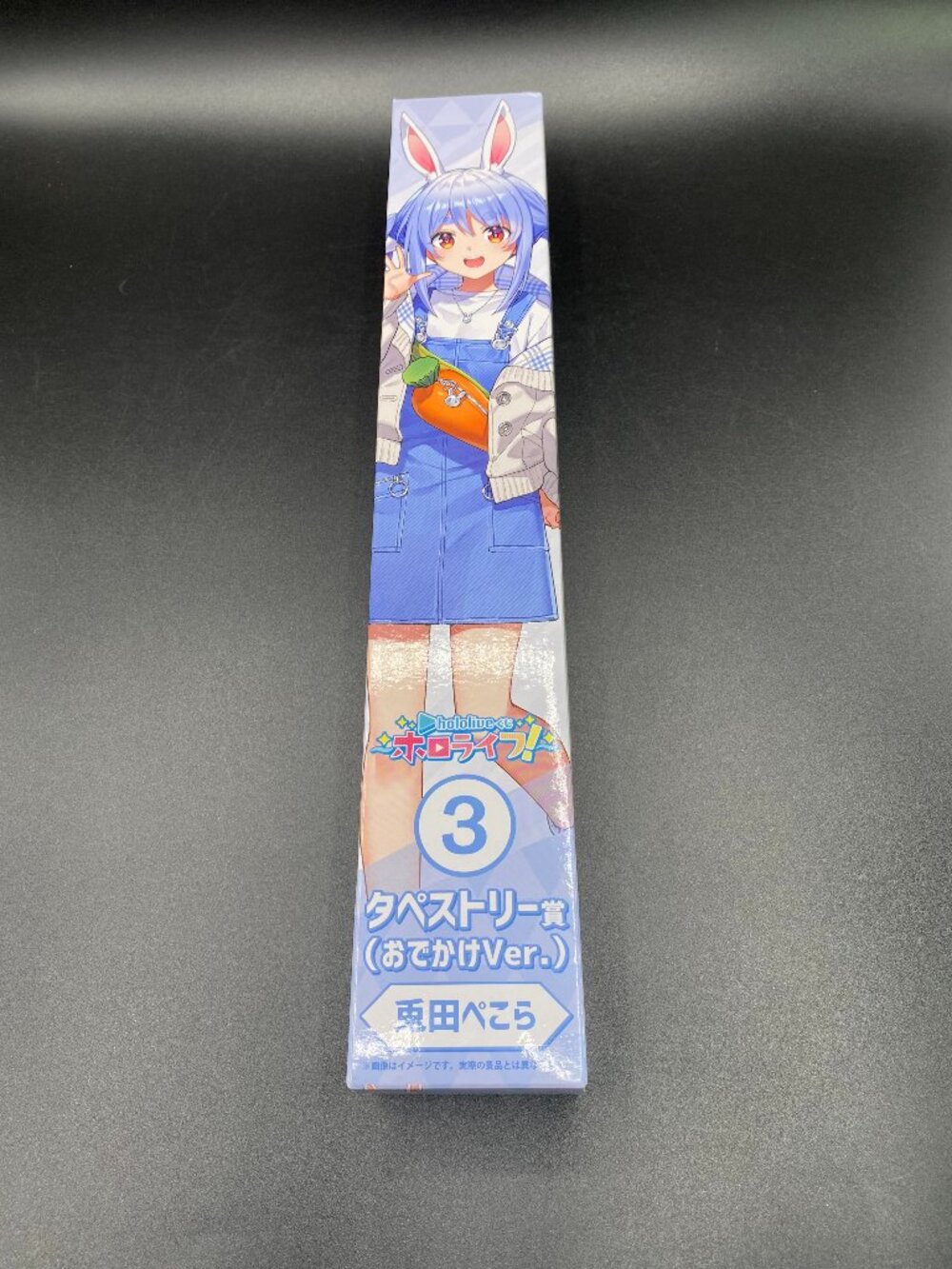 Hololive Usada Pekora Tapestry Scroll 3 (Going Out Version) Kuji Hololife New